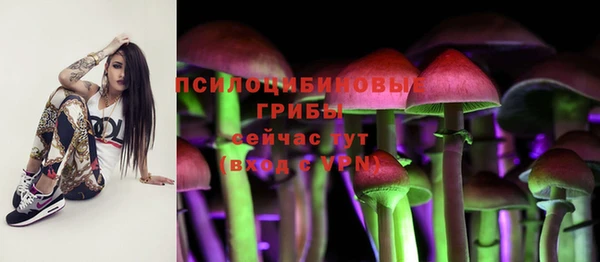 гидропоника Протвино