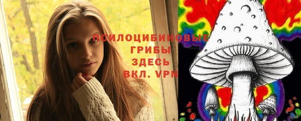 соль курить ск Козельск