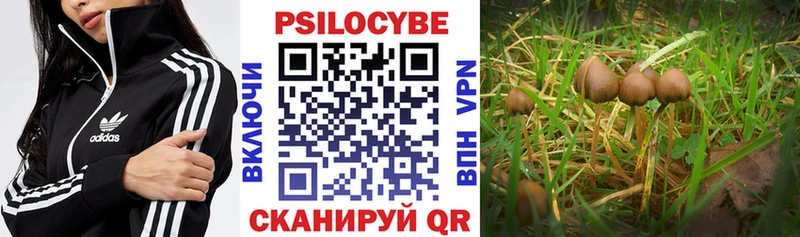 Галлюциногенные грибы MAGIC MUSHROOMS  Южноуральск 
