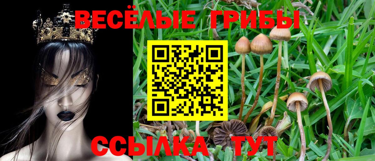 Южноуральск  Псилоцибиновые грибы GOLDEN TEACHER  Вход с VPN 